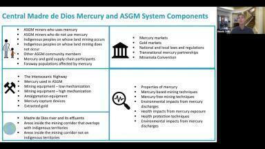 Multilevel Governance of Mercury in Madre de Dios, Peru